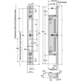 effeff Assa Abloy Assa Abloy Flachschließblech 809HZV----35-01