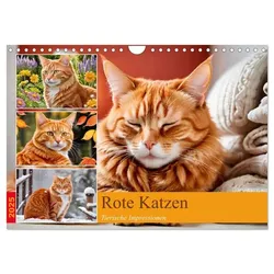 Rote Katzen (Wandkalender 2025 DIN A4 quer), CALVENDO Monatskalender