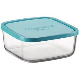 Frigoverre Bormioli Frigov Quadr 19X19