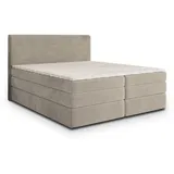 masseno MATERN 160 x 200 cm H2 Beige