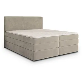 masseno MATERN 160 x 200 cm H2 Beige
