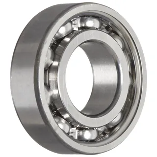 SKF 6004