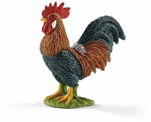 Rooster