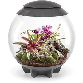 biOrb 46148 biOrb AIR 60 grau - automatisiertes Terrarium zur bequemen Pflege exotischer Pflanzen, LED-Beleuchtung, 60 l Fassungsvermögen