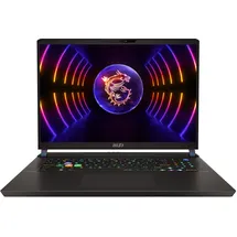 MSI Gaming Raider GE78HX Intel® CoreTM i9 i9-13980HX Laptop 40,6 cm (16") GB DDR5-SDRAM TB SSD NVIDIA GeForce RTX 4080 Wi-Fi 6E (802.11ax) Windows 11 Home Schwarz