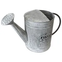 Mojawo - Vintage Gießkanne verzinkt 5 Liter-FZ3000550