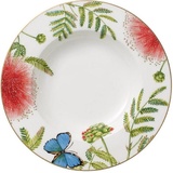 Villeroy & Boch Amazonia Anmut Suppenteller 24cm