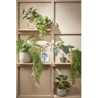 Mica decorations Mica künstlicher Pothos grün im Topf 44