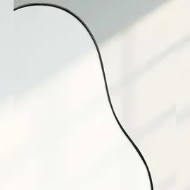 FineBuy in organischer Form 40x80 cm Spiegel Flur Garderobe