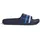 Dark Blue / Royal Blue / Globe Blue 31