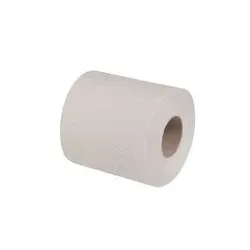 Toilettenpapier Eco | 2-lagig |  100% Recycling - 64 Rollen