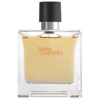 Hermès Terre d'Hermes Eau de Toilette refillable 30 ml + Eau de Toilette  Nachfüllung 125 ml Geschenkset ab 110,00 € im Preisvergleich!