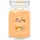 Yankee Candle Mango Ice Cream große Kerze 567 g orange