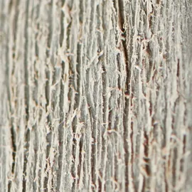 KETER Patio Store 1,4 x 0,77 x 1,2 m grau