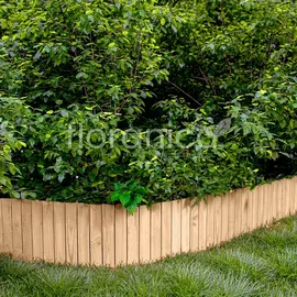 Floranica Rollborder II 200 x 30 cm Unbehandelt