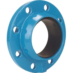 Zweikammer-Spezialflansch 7102 NW 80/98 Guss
