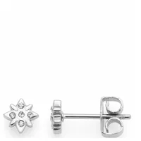 LEONARDO Ohrstecker Ciao Campagnola silber Edelstahl 024462