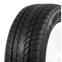 Davanti Wintoura 195/65 R15 91H