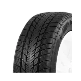 Davanti Wintoura 195/65 R15 91H
