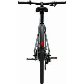 tenways CGO600 Plus 2025 28 Zoll RH 50 cm grau