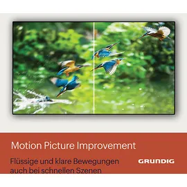 Grundig 55 VCE 223 55" 4K LED TV