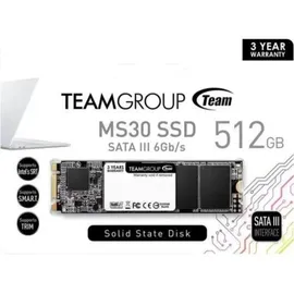 Team MS30 512 GB M.2 2280