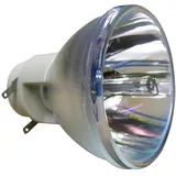 Osram Beamerlampe (nur Leuchtmittel) für CHRISTIE (ersetzt: 003-004449-01 003-004449-XX)