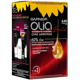 Garnier Olia 6.60 intensives rot