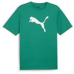 Puma Teamrise Logo Jersey Cotton sport green-puma white (05) 3XL