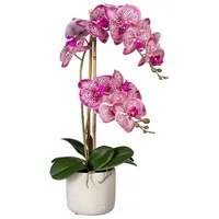 Kunstblume Orchidee, Höhe 60 cm, im Zementopf, Creativ green rosa