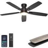 Ohniyou Deckenventilator mit Beleuchtung, 132 cm Deckenventilator mit Fernbedienung/APP-Steuerung, Moderne Deckenventilatoren für Innenzimmer Wohnzimmer, Dimmbar, Leiser Gleichstrommotor, Schwarz