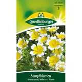 Quedlinburger Sumpfblume ''Spiegeleier''