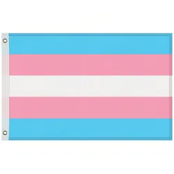 LGBTQ+ Flagge 150x90cm mit Ösen – 8 Varianten zur Auswahl
