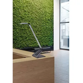 Maul MAULsolaris Silber