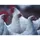BETAFENCE 7036385 Sechseckgeflecht 10m