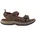 Dark Brown 44