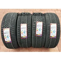 MINERVA As Master 185/65 R14 86H