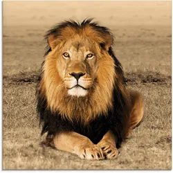 Artland Glasbild »Löwe«, Wildtiere, (1 St.) Artland Farbe Bild(er): braun