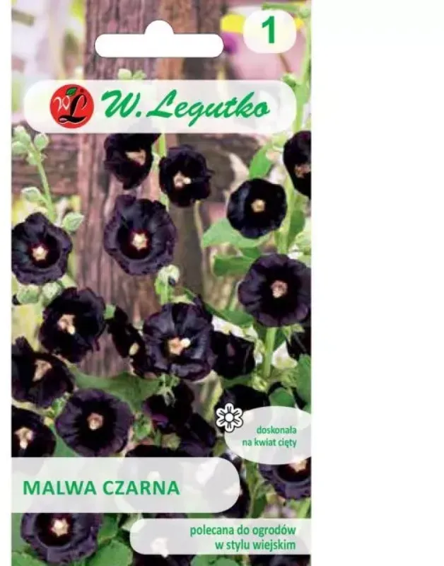 Schwarze Malve