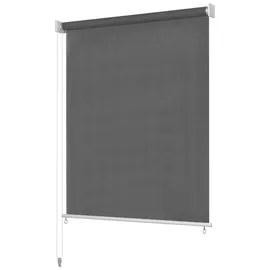 vidaXL Außenrollo 160 x 230 cm Anthrazit
