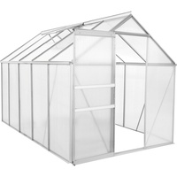 Zelsius Aluminium Gewächshaus für den Garten | 310 x 190 cm | 6 mm Platten | Vielseitig nutzbar als Treibhaus, Tomatenhaus, Frühbeet und Pflanzenhaus