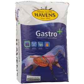 Havens Gastro+, 20 kg