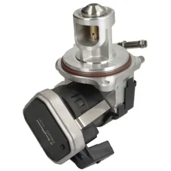 AGR Ventil BORG WARNER 7504D