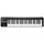 Roland A-49-BK - Masterkeyboard