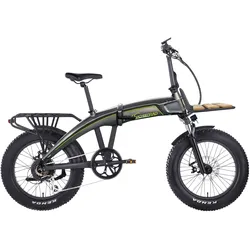 E-Bike SACHSENRAD "F6L" Gr. 45, schwarz, E-Bikes, 45cm, 20 Zoll (50,80cm), LCD-Steuerdisplay, Fahrmodus, Pedelec, LED-Frontlicht / Rücklicht