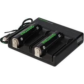 PATONA Premium Dual PD Performance Ladegerät + 2 Premium 18650 Zellen