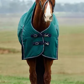 Weatherbeeta Comfitec Plus Dynamic Turnout High Neck 220g, 150