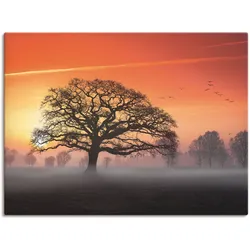 Wandbild ARTLAND "Filigran und mehr...", orange (farbe bild(er): orange), B:80cm H:60cm T:1,8cm, Canvas, Leinwand, Bilder, als Leinwandbild, Poster in verschied. Größen