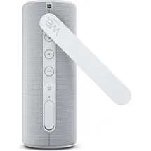 Loewe We. HEAR 1 Cool Grey