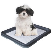 Nobby Doggy Trainer S - 48 x 41 x 3,5 cm